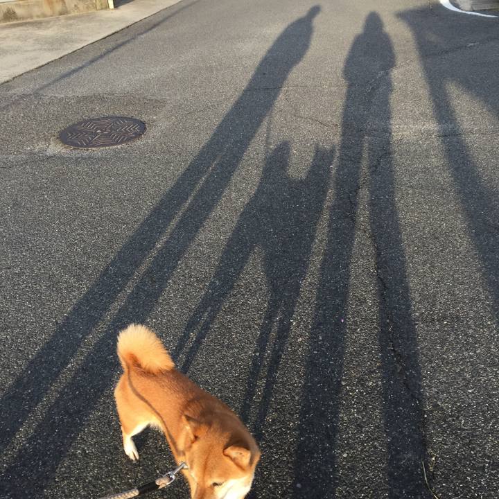 5266e936 1444 428c 96c4 3869c1f04b23