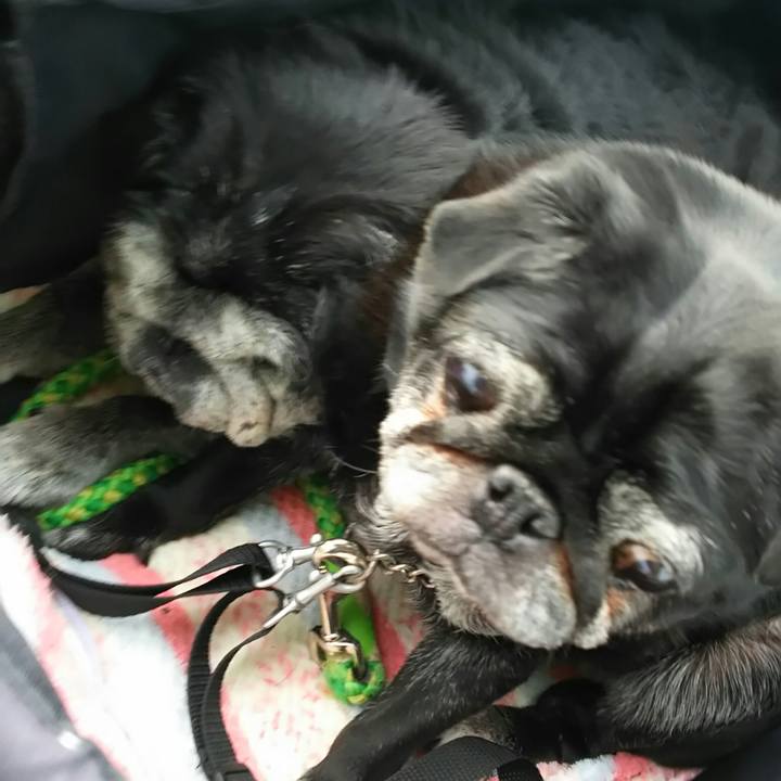 5267065f cc25 4127 9ca6 4c1f2a98132c