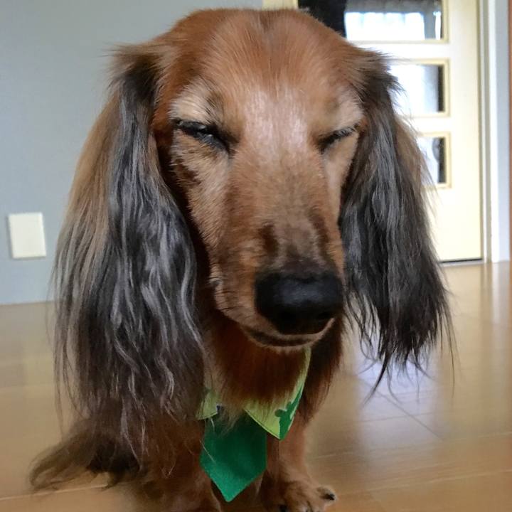 52673201 7d8f 4d85 97bf 6a2a3314b5b5