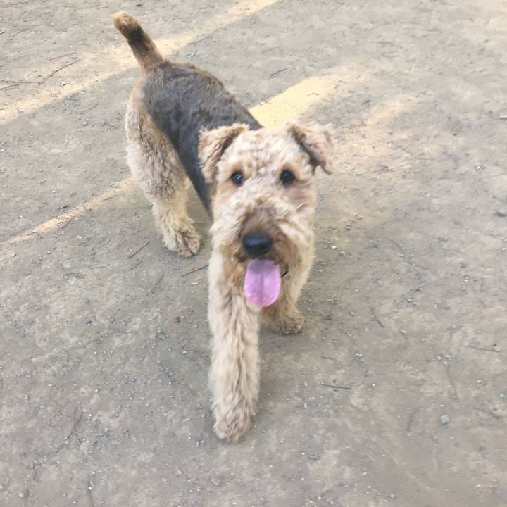 52680cbc b8e0 467a 91dc b6c727c9437e