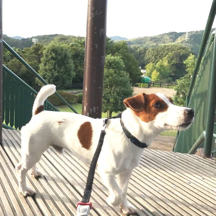 52681dd6 3513 4bc9 9def 9c50155c16f6