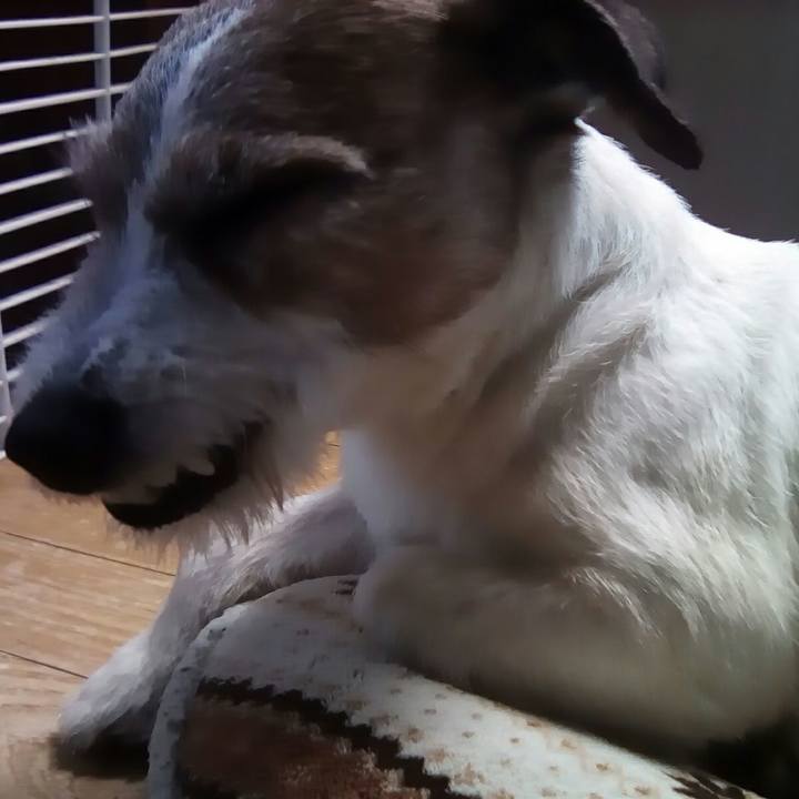 5268efd8 fdfd 46d8 8c1f cc8b0de43c0d