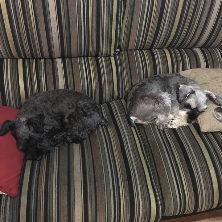 52691500 efc4 47db 93d6 f19aa32d2fc8