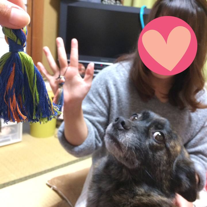 52694dc3 0558 4278 bce9 fa8cdbdc0e6e