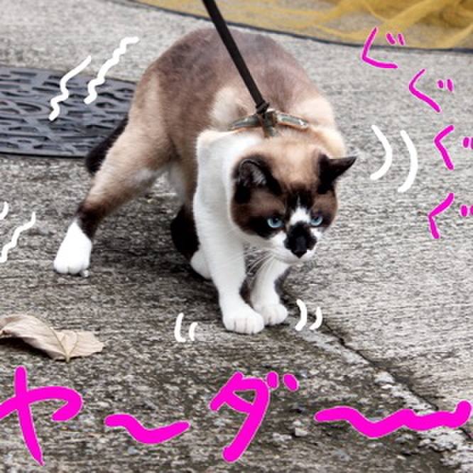 526a7ba4 c2be 4944 b18f c5458403936d