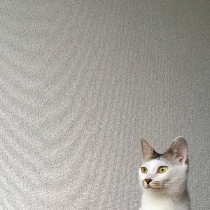 526af488 bcec 4cc4 af87 4c0e85b3b5f4