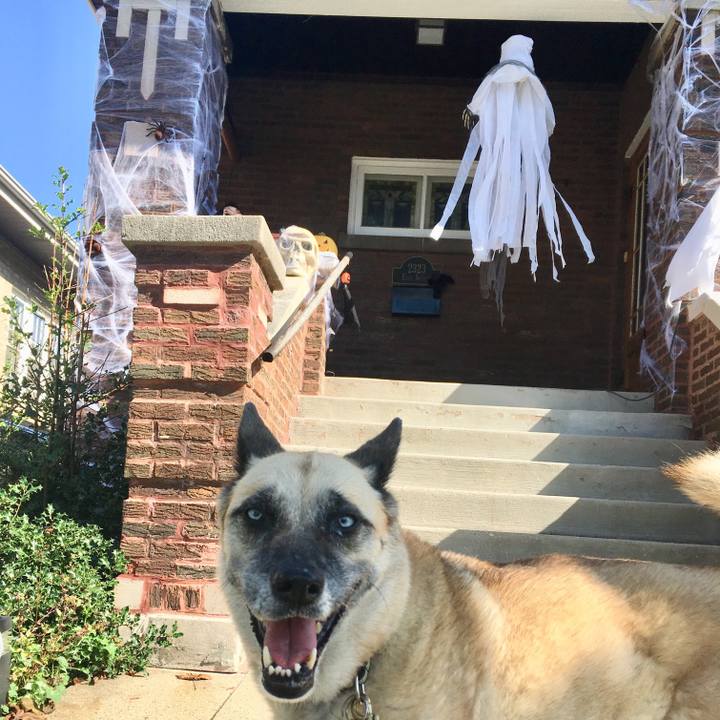 526bff6e 9215 4887 8357 86a93b13b083