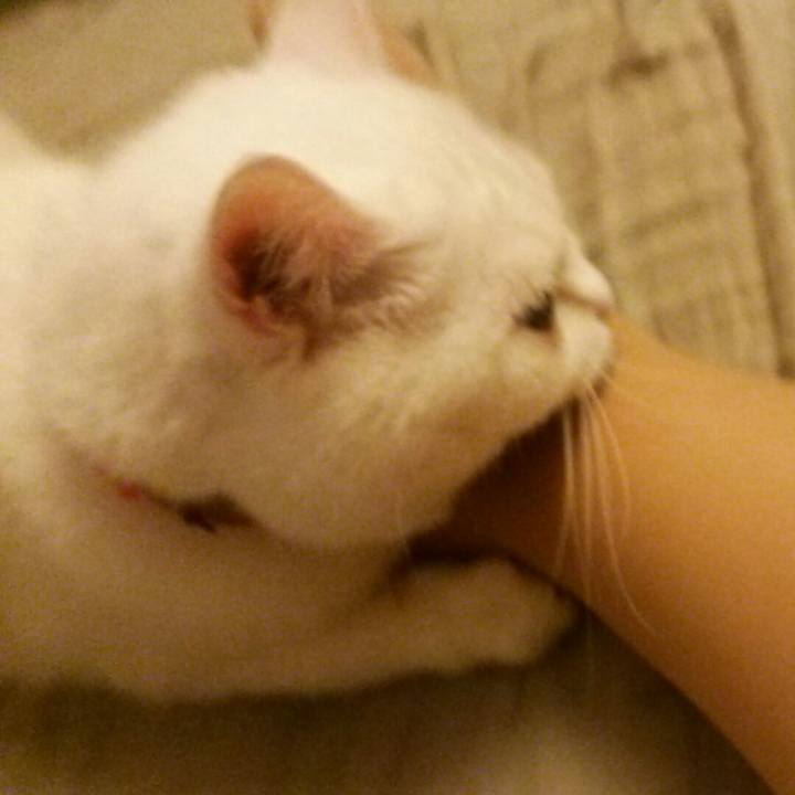 526ca758 6e05 4cd0 97b2 d07f7c7d738f