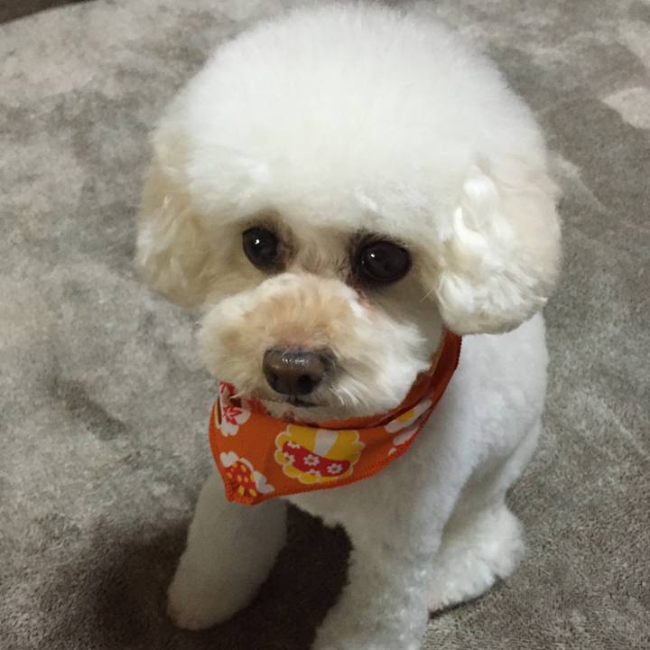 526cc2ad a71f 4a65 8f66 ad69dc74f0c9