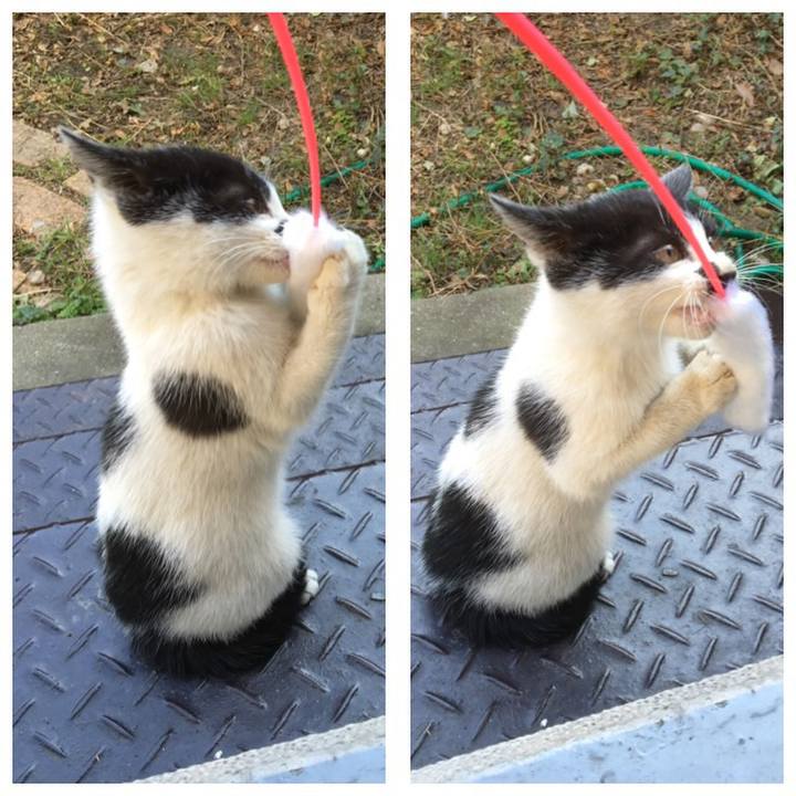 526d1a5a 8f9d 4a75 b1e3 5167fbe9d29a