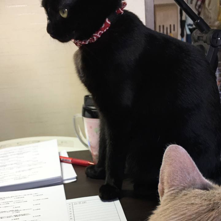 526d9371 f79c 420b b5f7 7cabfbd786f2