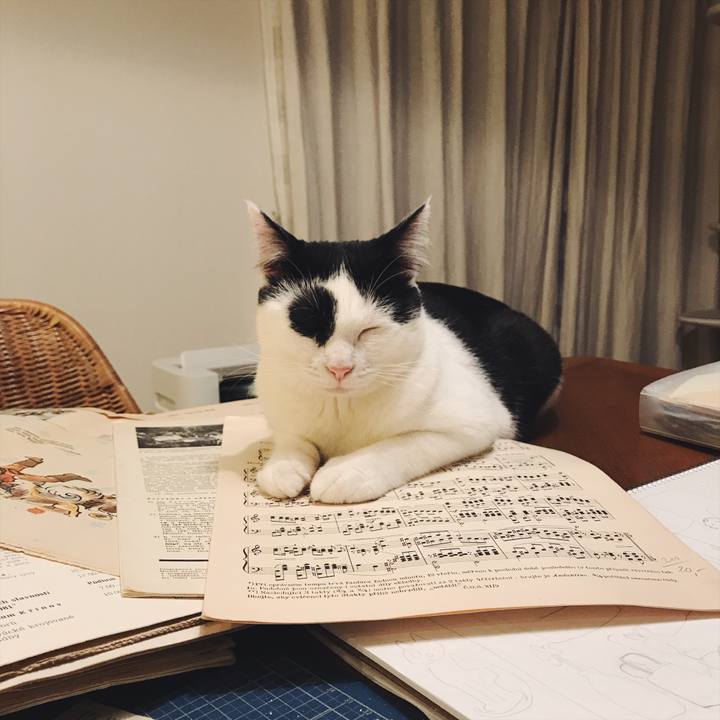 526e9714 c7da 4af2 a406 3e13e469f938