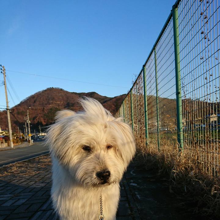 526ed39a 477d 4405 ab4d d5d76c051c0c