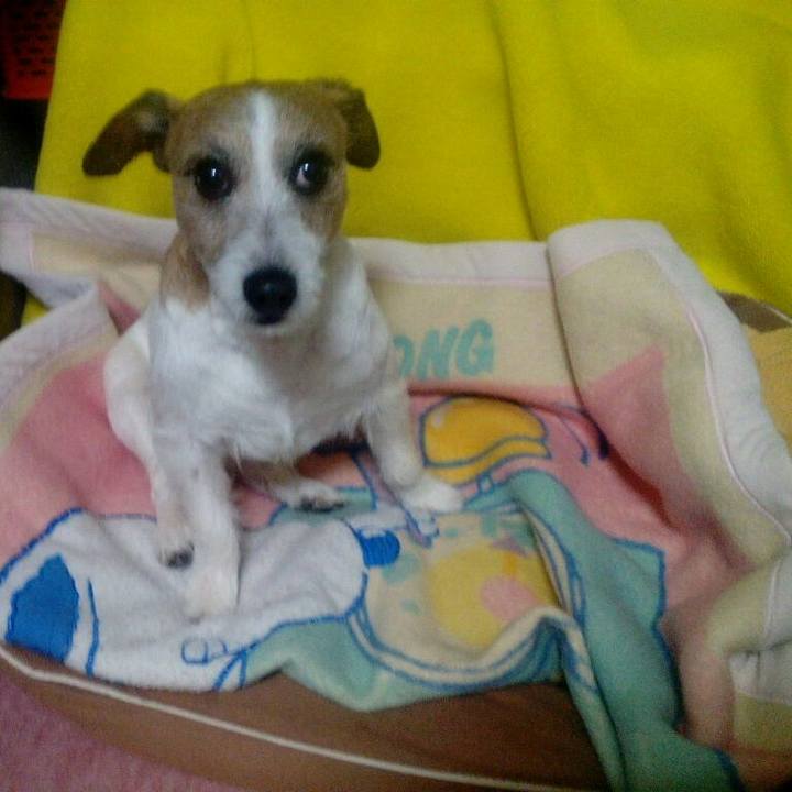 526edcfc eb26 4305 b55d d343cd0173e0