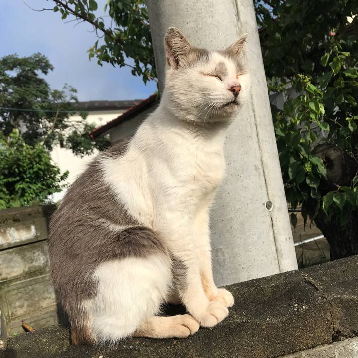 526f7cdc cca9 464a 83db 03f025de24e0