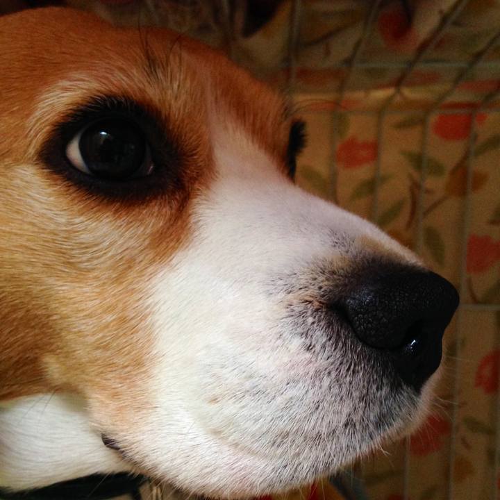 526f97d2 31a7 4fbd a874 e8b804109535