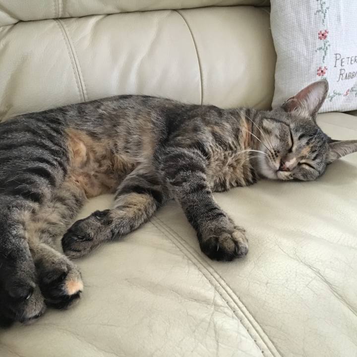 526fad3f bbcc 44ae 96e7 d1a4c9eb7416