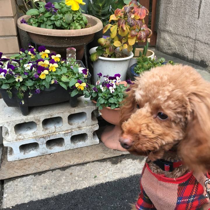 526fc640 d443 4380 a928 7b64d42fffa6