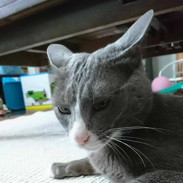 526fda70 bc1b 4c63 99aa c81fd5bfd97c