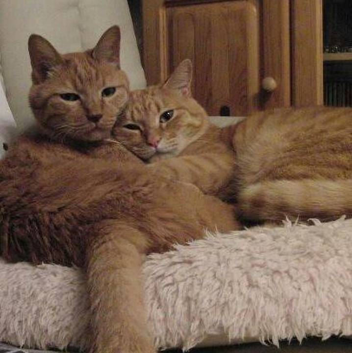 5270b0f3 35dd 4d7a a271 ef62b768fc97