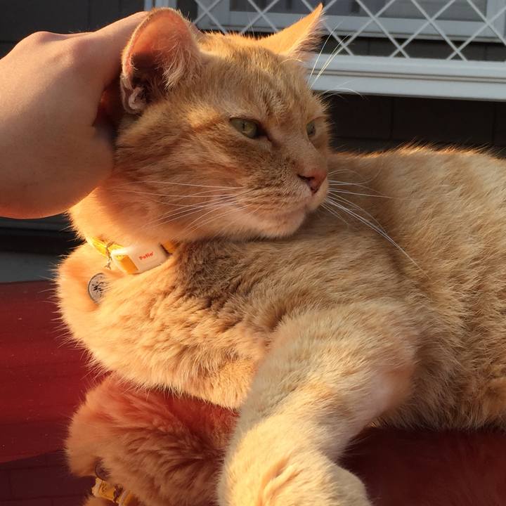 527124db 320b 498a b64f 1584daa6eee7