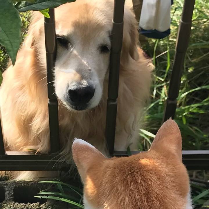 5271a26a 670b 43c1 8bd4 ecaa911c8013