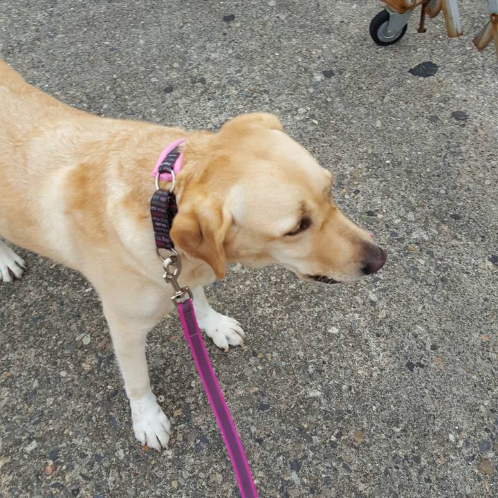 52724b15 40e9 428c 9e25 b50b10a0ab92