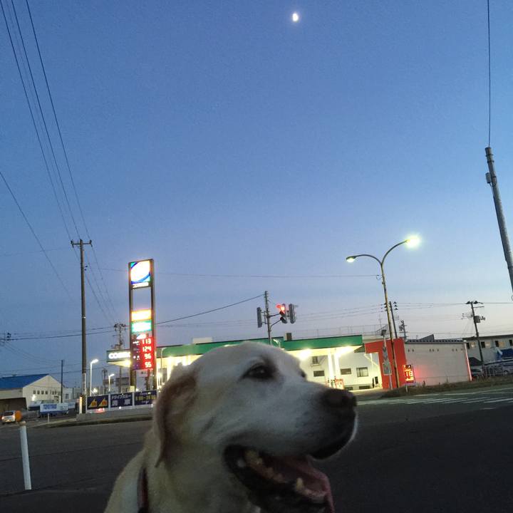 5272977d 4981 4e16 bb01 d9c7e56625a3