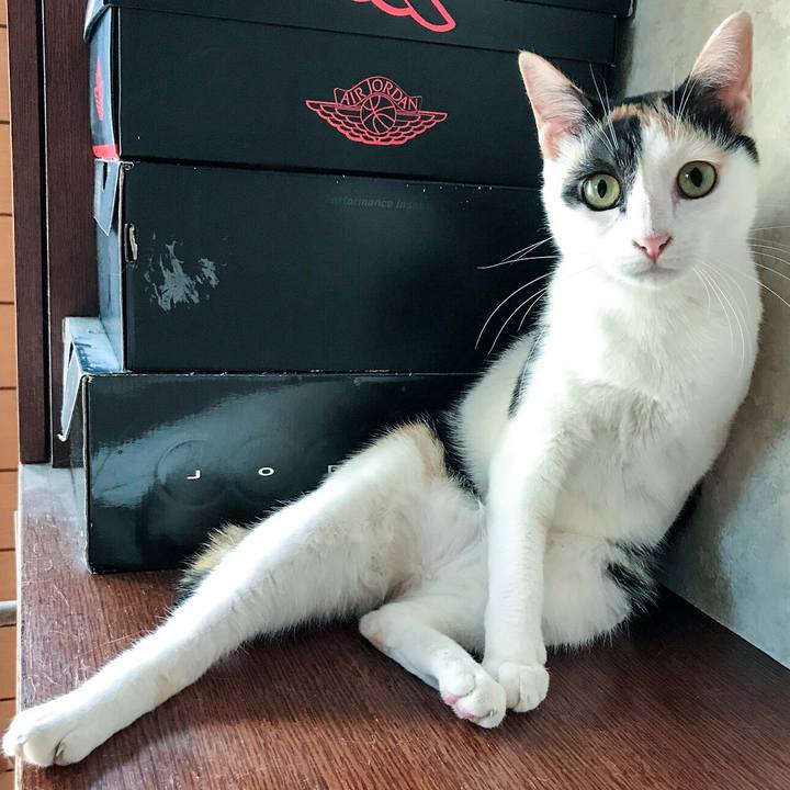 5272d31b 6657 4a85 acb0 6abd04b3313c