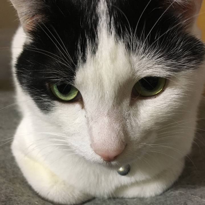 52735a17 8320 4ff2 b83c eddbe767f0b0