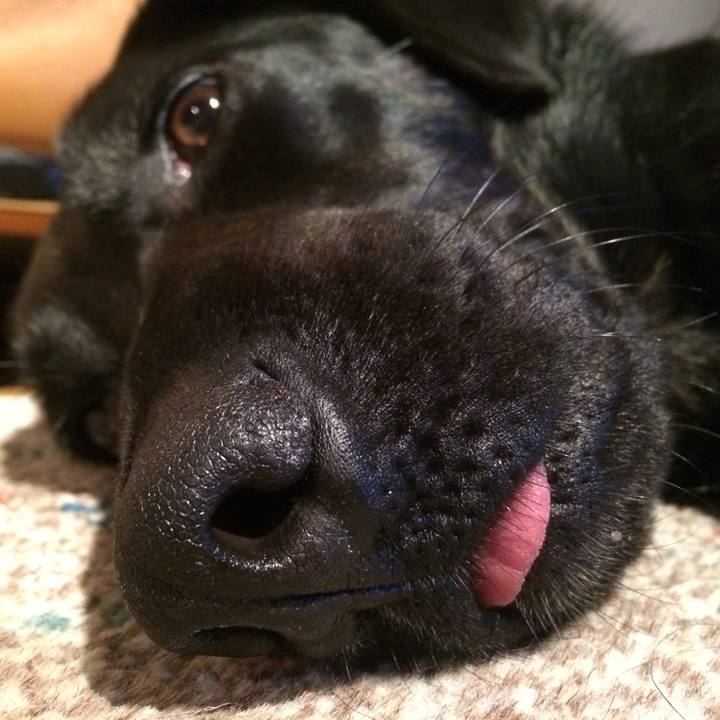 52739e60 3b8a 45de b1e8 d771e8237937