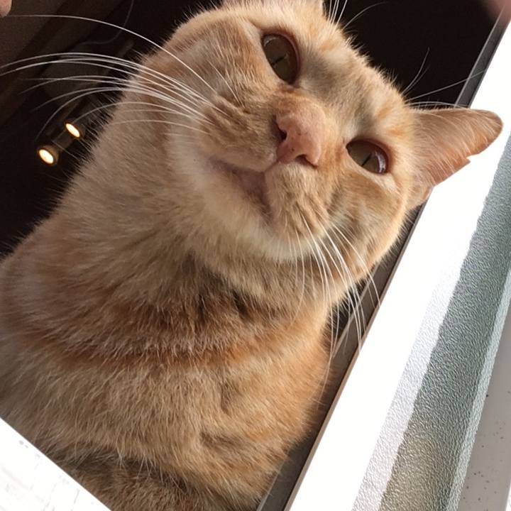 5273b59d 7a09 49ef 81d1 c0c6be5f0e50