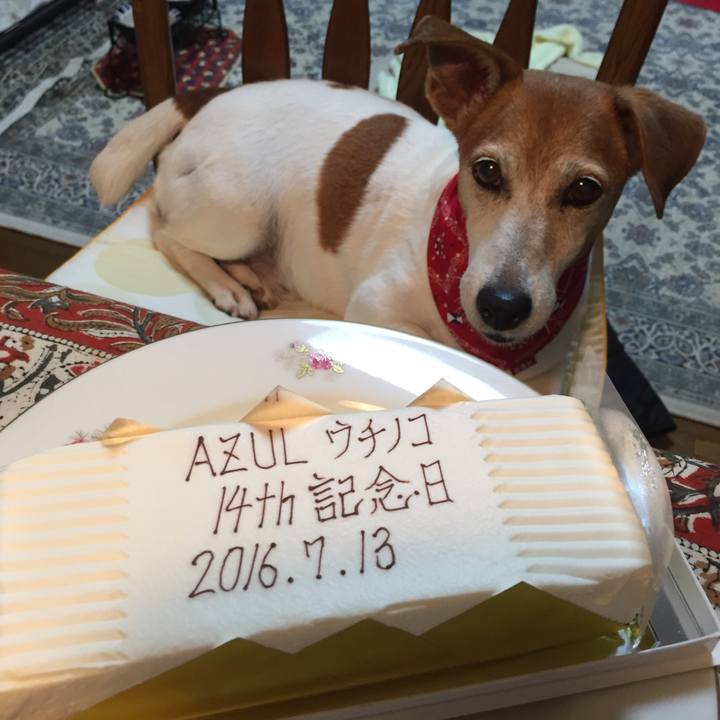 527439bb 3fc2 43fe 80e3 dc3c35875a09