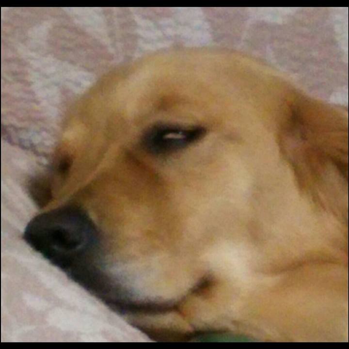 52747bd7 ef6c 488a acaf feeef107a2da