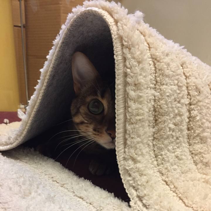 5275061d 99b5 467d acbe e7974c888e98