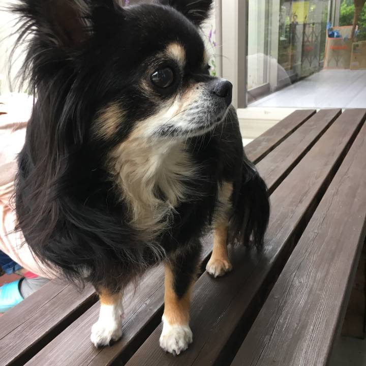 52755b8f c698 4191 8403 be62cd30e119