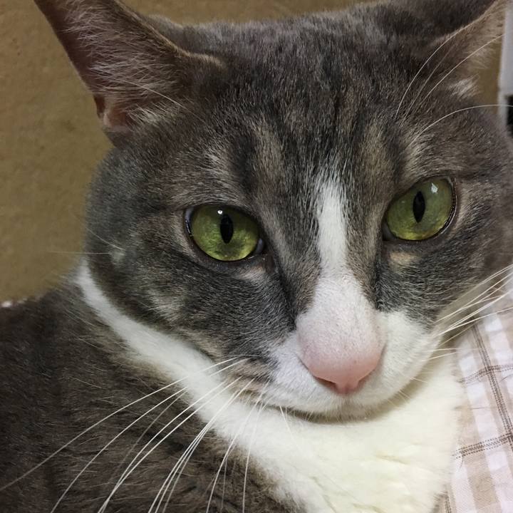 52755c6b e8f9 438e b73d d90ce4047f44