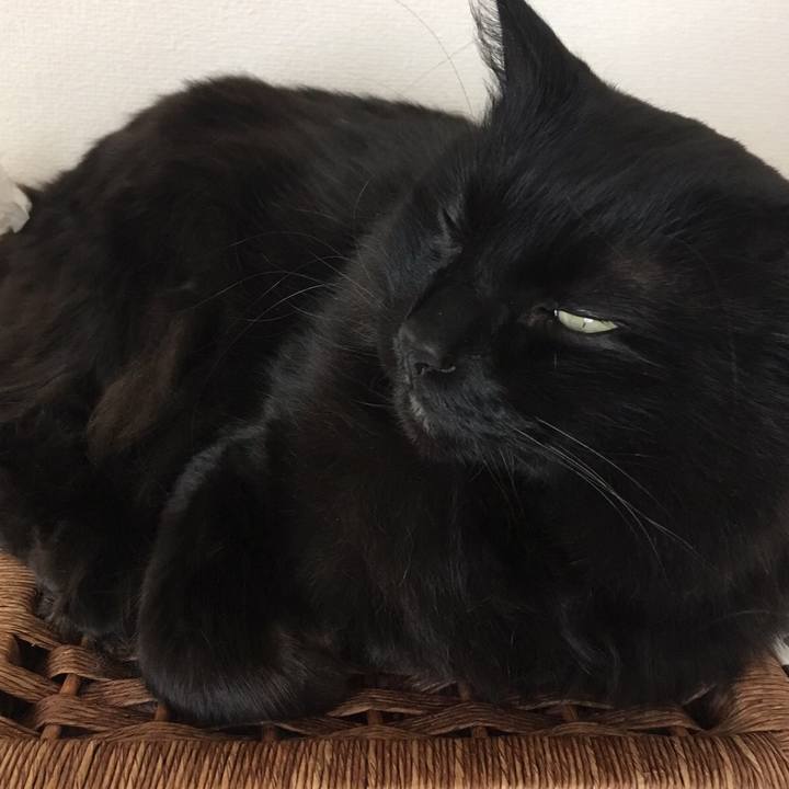 5275c2bd d47e 4114 b022 630cf70a920f