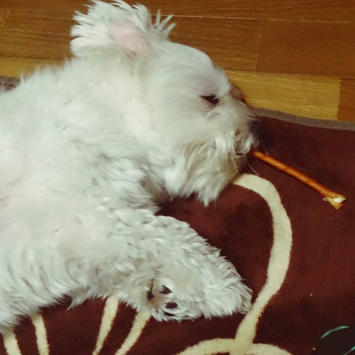 5275cfc1 6e8e 42f3 a3b9 bda07c1801ae