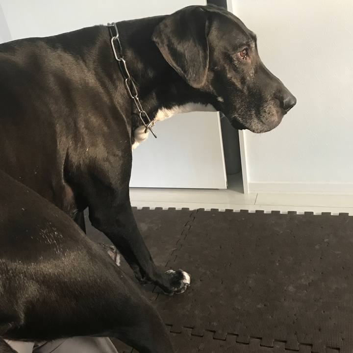 5276175f cfc9 4c0b b892 cc705e109497