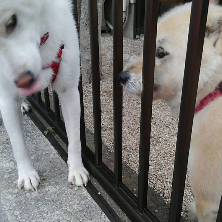 5276b1c8 e8ba 4812 8a22 bbefba08c062