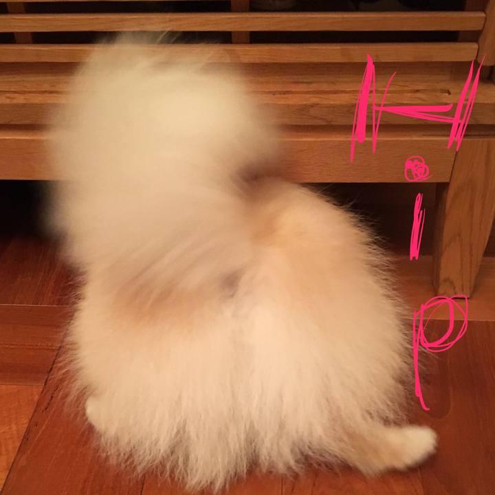 52779708 6d83 4a0b a971 7431a0bab31b