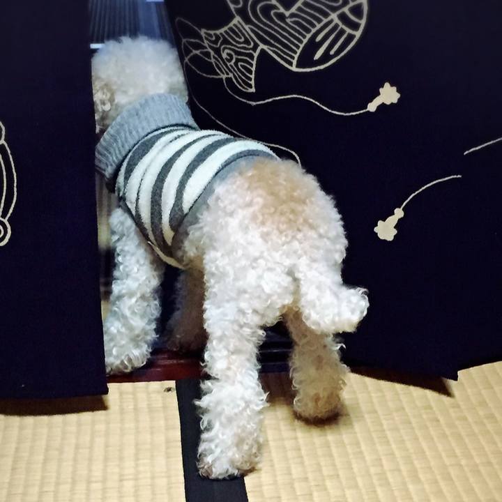 5277a879 bb24 4085 9e00 916c939ba640