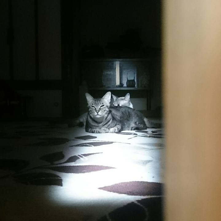 52780c04 a943 4904 a693 17314e86582a