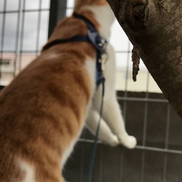 52794d06 fbc8 48e4 a64e 1e475fc6e4b0