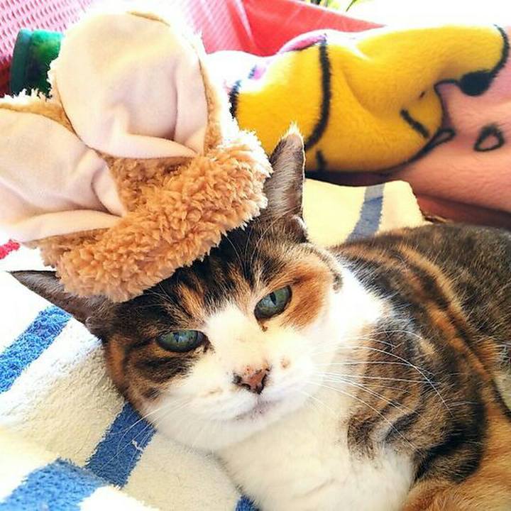 52795e4f 4bef 4b97 8f90 fc06d54819cc