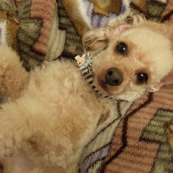 527a4a29 5801 4b37 8248 ba5564c14d2c