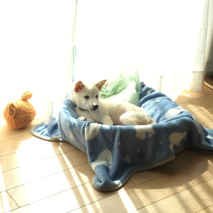 527a665c b75d 45be 8adb f7699f4d5e2a