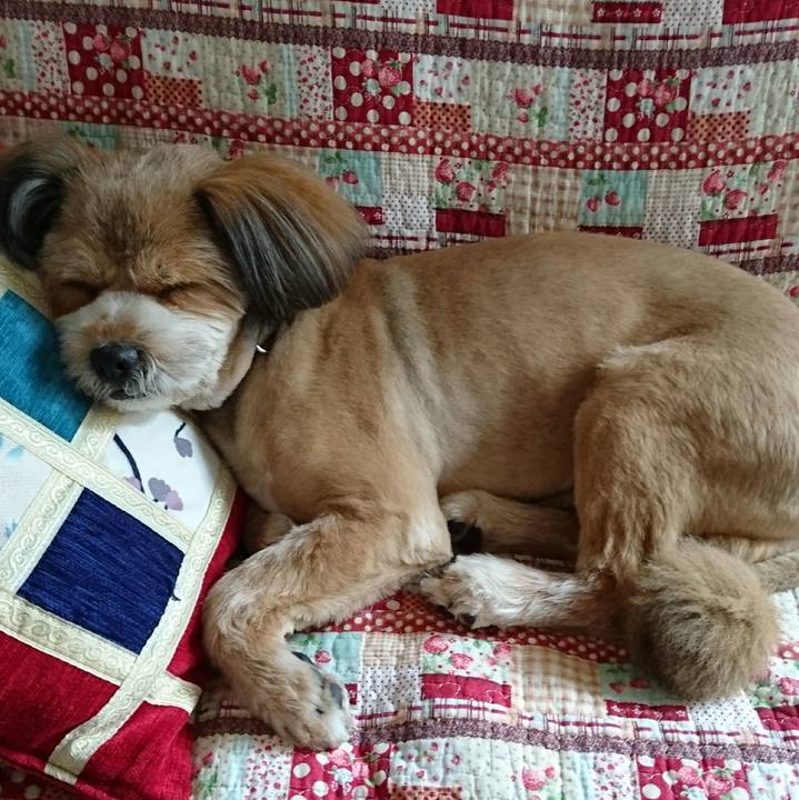 527a84ab a6a9 442f 8783 5c7a87d96c54