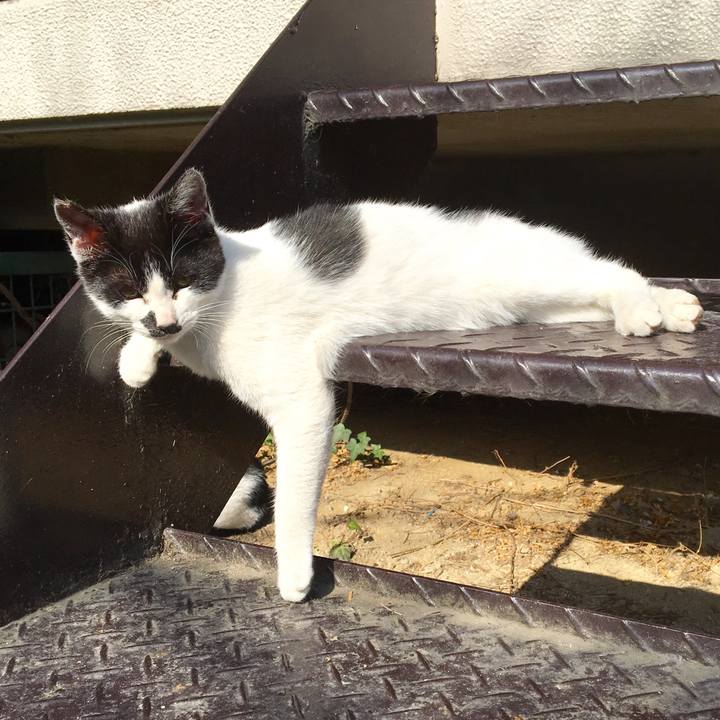 527a8e1c 80ca 458a bc3d 9d3b6ec8e770